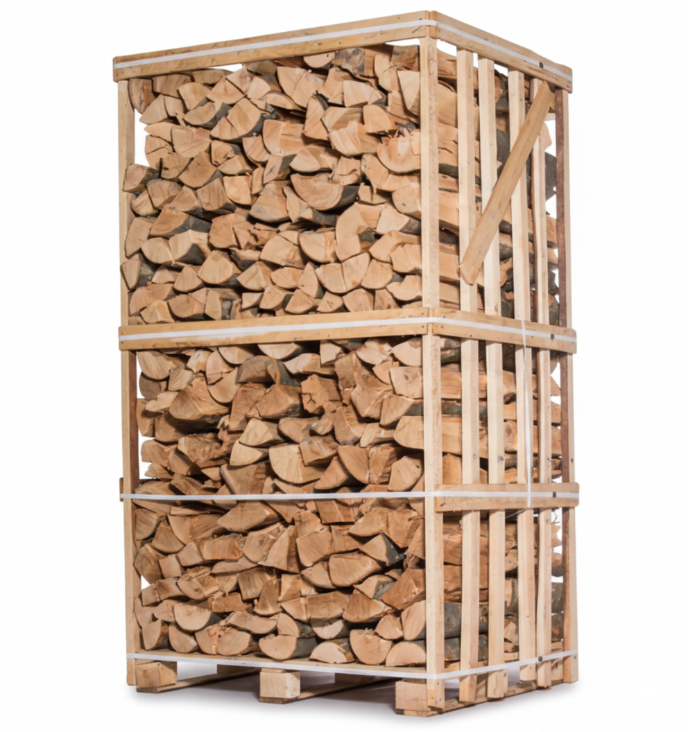 Lena de Roble Seca 50cm - Formato XXL